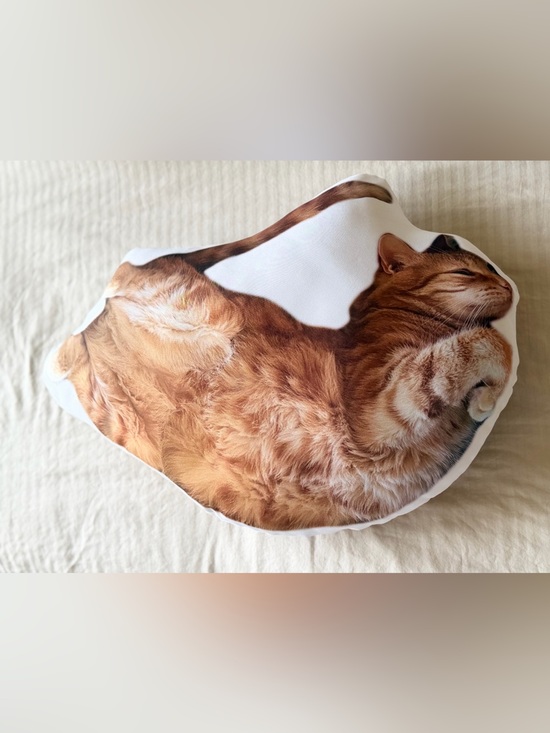 Etsy Other - Plush Ginger Cat Shaped Pet Pillow - Decorative Cat Cushion (Ginger)